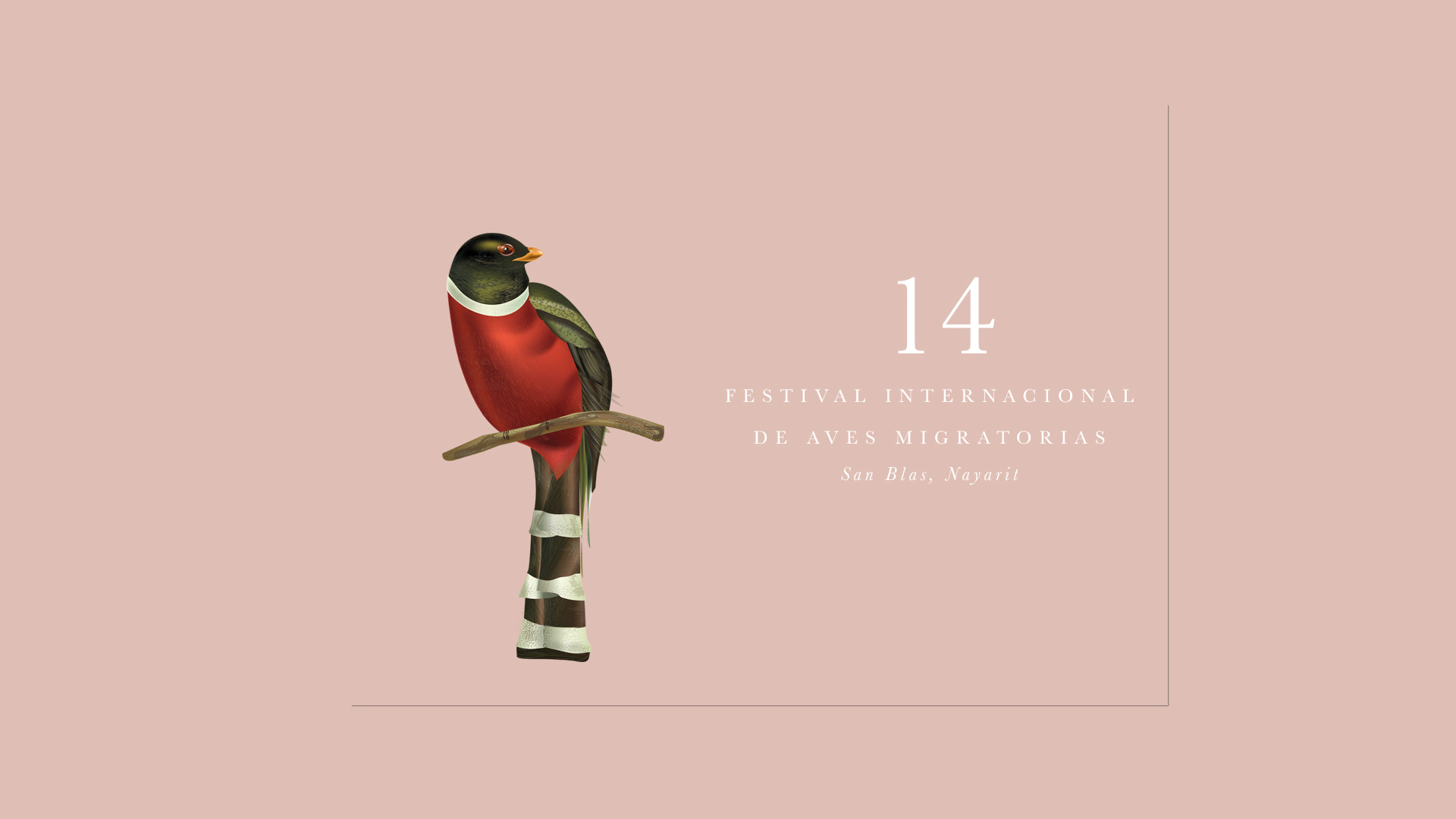 Festival Internacional Aves Migratorias