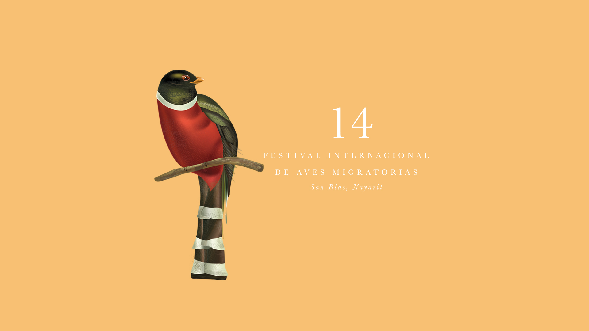 Festival Internacional Aves Migratorias